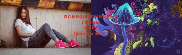 индика Надым