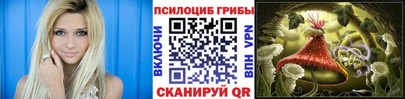 купить закладку  Канск  Галлюциногенные грибы Cubensis 