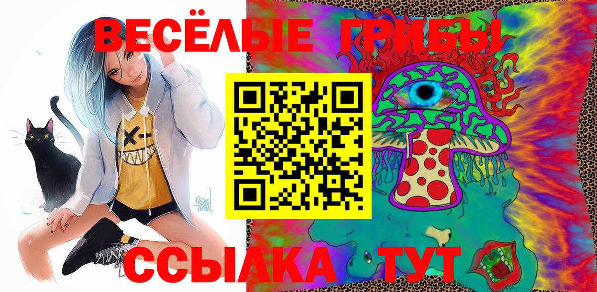 Галлюциногенные грибы Cubensis  Канск 