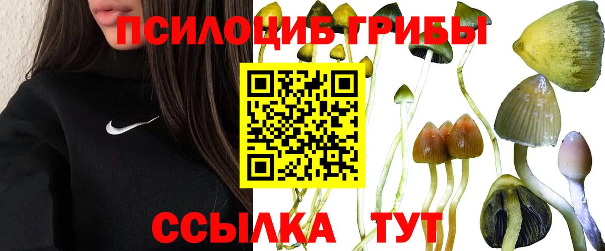 Канск  Галлюциногенные грибы Magic Shrooms  Галлюциногенные грибы GOLDEN TEACHER  цена   Вход с VPN 